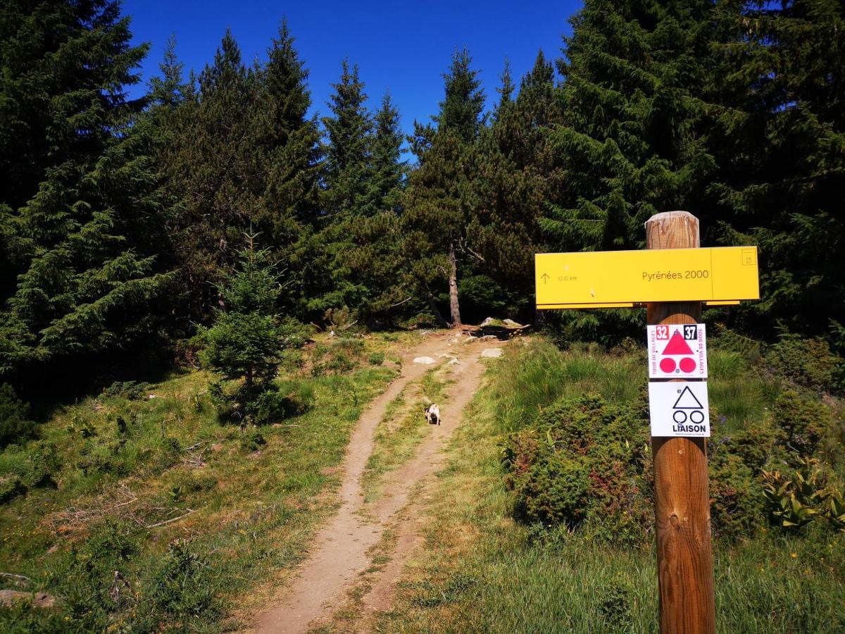 Bolquère Apt Confortable Au Pied Des Pistes Et De La Foret מראה חיצוני תמונה