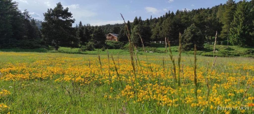 Bolquère Apt Confortable Au Pied Des Pistes Et De La Foret מראה חיצוני תמונה