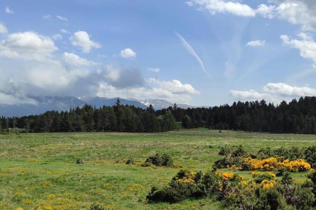 Bolquère Apt Confortable Au Pied Des Pistes Et De La Foret מראה חיצוני תמונה